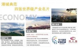 爆炸性新闻怎么爆料对方,爆炸性新闻背后真相，揭秘爆料者神秘身份