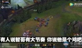 英雄联盟王思聪爆料视频,揭秘电竞圈幕后风云